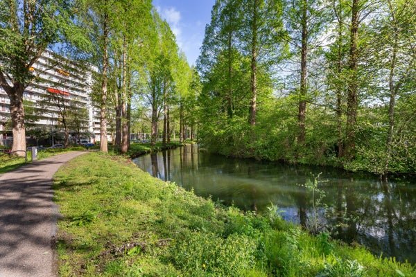 For rent: Flat Valkreek in Rotterdam