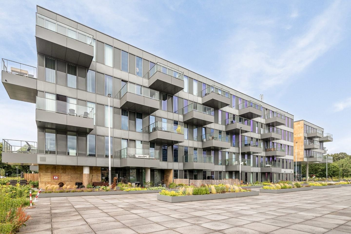 Grenenhout 8-244