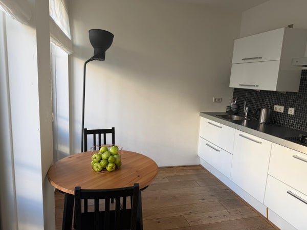 For rent: Flat Gerard Doustraat in Amsterdam