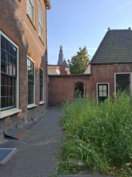 For rent: Flat Jansstraat 46 B 20 in Haarlem