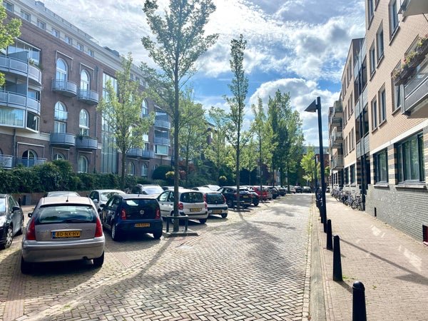 For rent: Flat Arthur van Schendelstraat 189 in Utrecht