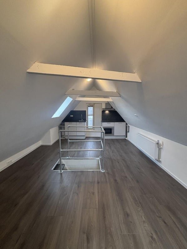 For rent: Flat Van Julsinghastraat in Groningen