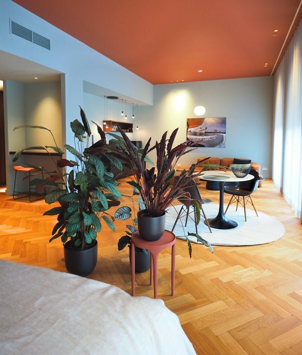 For rent: Flat Van Vollenhovenstraat in Rotterdam