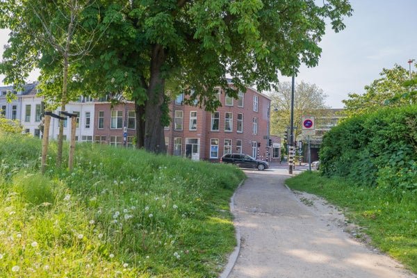 For rent: Flat Prinsen Bolwerk in Haarlem