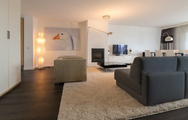 For rent: Flat Pieter de Hoochstraat 19 F in Amsterdam