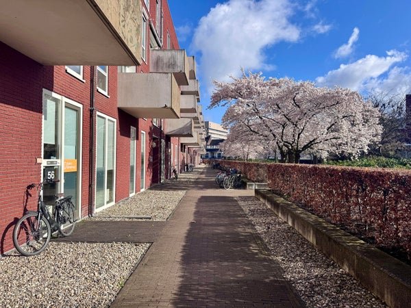 For rent: Flat Groenmarktstraat 6 in Utrecht