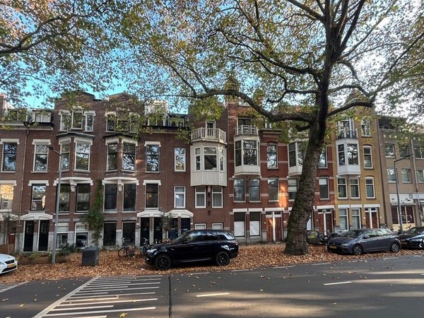 For rent: Flat Rodenrijselaan 30 A in Rotterdam