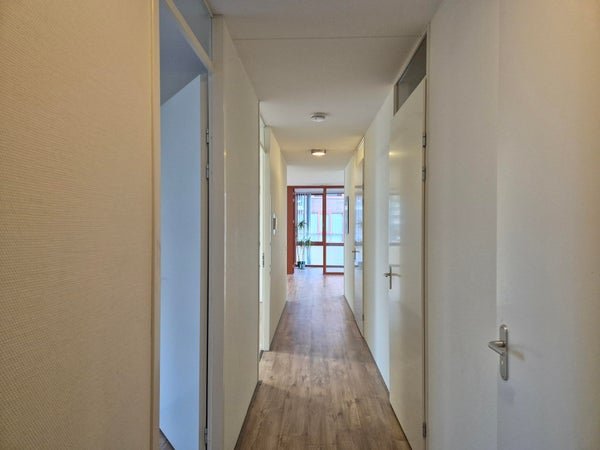 For rent: Flat Koningslaan in Rotterdam