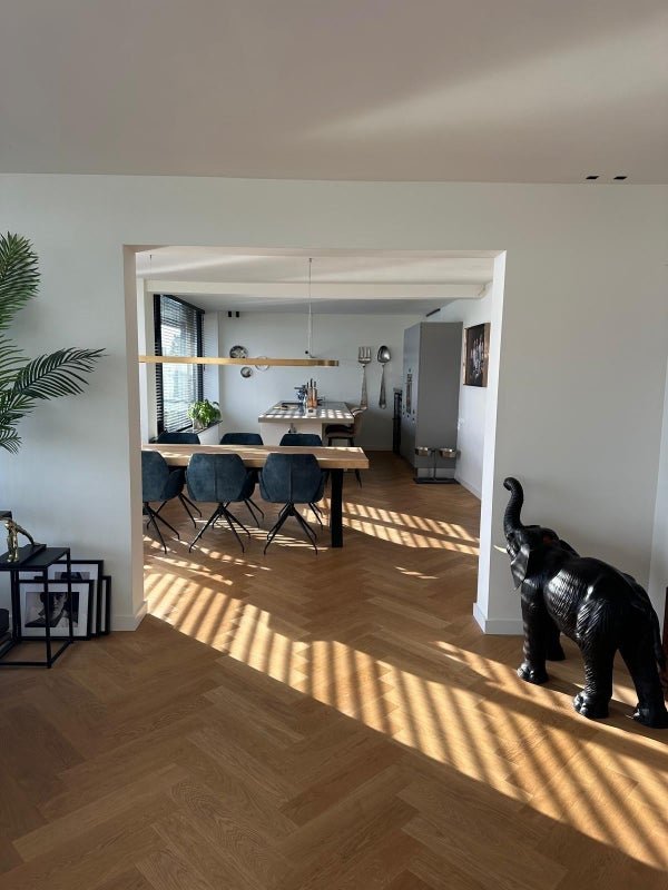 For rent: Flat Weissenbruchlaan in Rotterdam