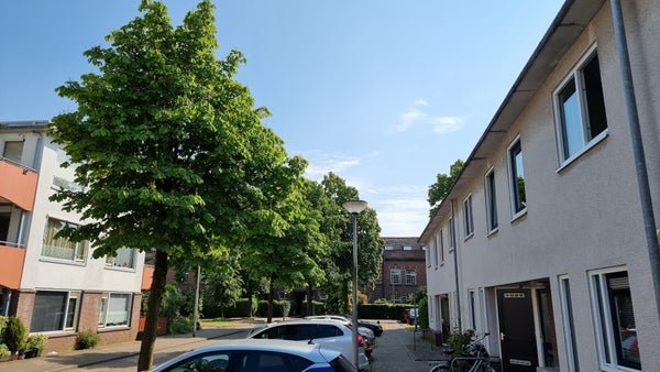 For rent: House Graaf Geraldlaan in Amersfoort