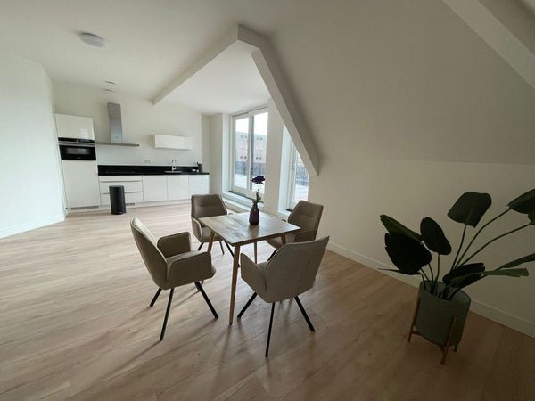 For rent: Flat Nieuwe Haven 115 K in Schiedam
