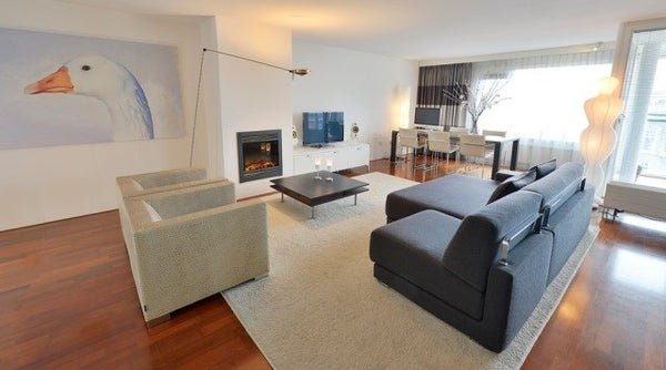 For rent: Flat Pieter de Hoochstraat 19 F in Amsterdam