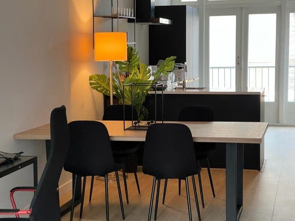 For rent: Flat Van den Boschstraat in Den Haag