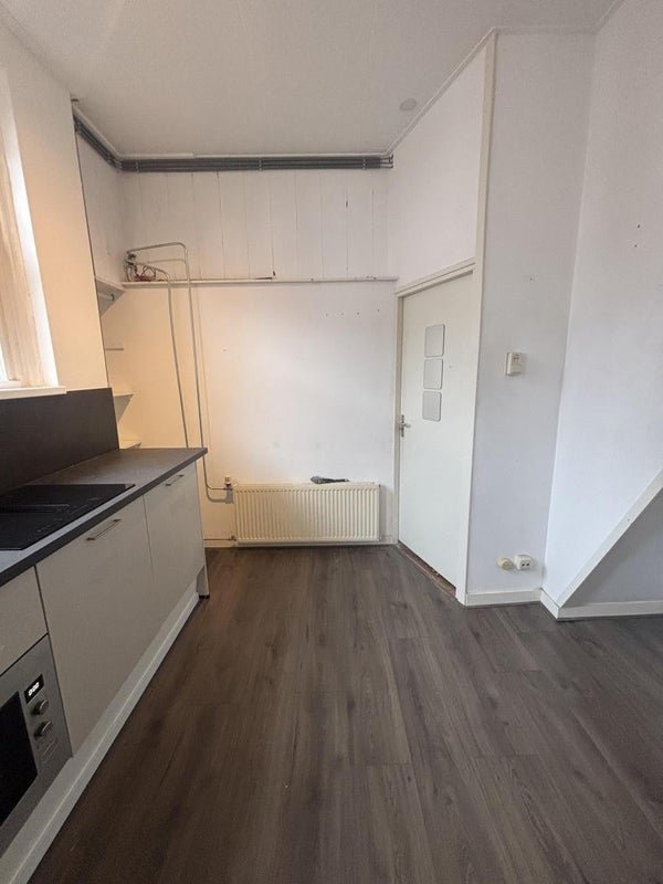 For rent: Flat Van Julsinghastraat in Groningen
