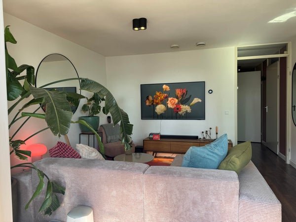 For rent: Flat Wijnbrugstraat 115 in Rotterdam