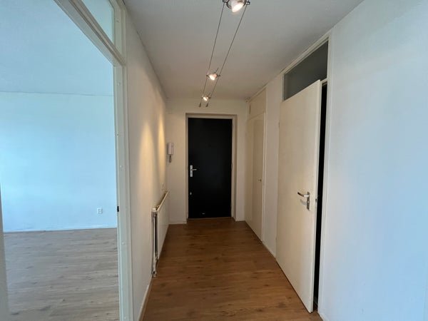 For rent: Flat Kipstraat 217 in Rotterdam