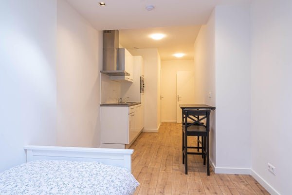 For rent: Studio Linnaeusstraat in Den Haag
