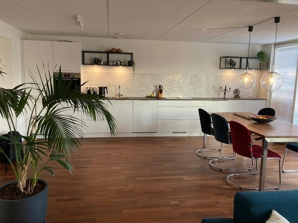 For rent: Flat Kepplerstraat in Den Haag