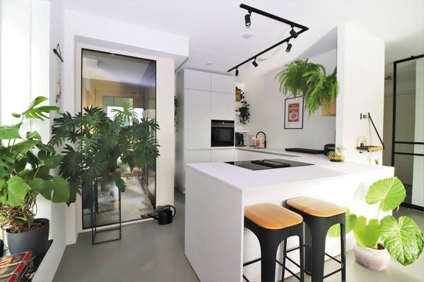 For rent: Flat De Monchyplein 14 in Rotterdam