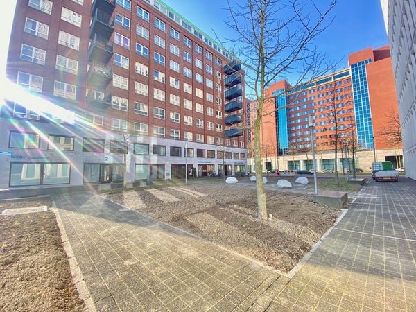 For rent: Flat Ernest Groosmanplein 13 in Rotterdam