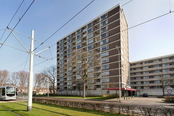 For rent: Flat Wilgenplaslaan in Rotterdam