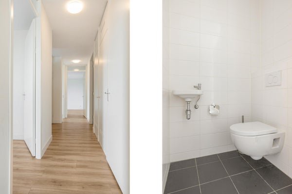 For rent: Flat Loevesteinlaan 387 B in Den Haag