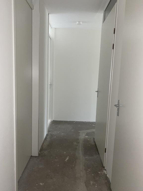 Egelstraat 52