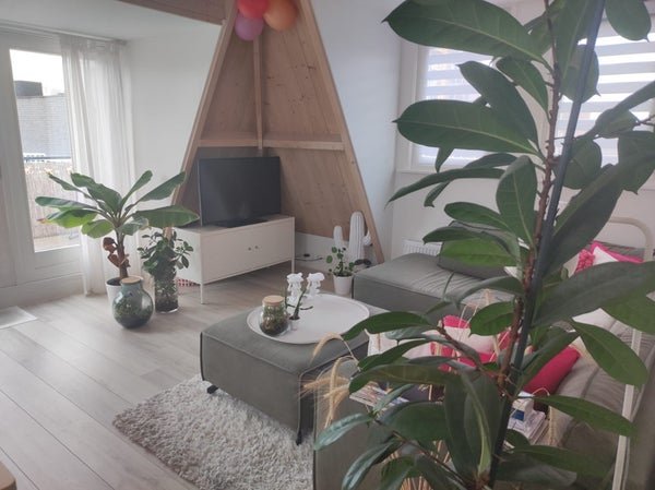 For rent: Flat Nieuwe Stationsstraat 21 C in Ede