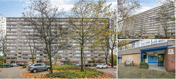 For rent: Flat Adama van Scheltemaplein in Delft