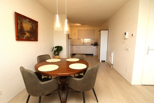 For rent: Flat Jan Ensinglaan 93 in Groningen
