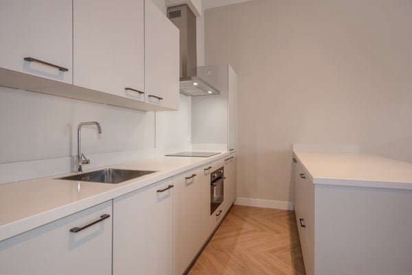 For rent: Flat Maaswijkstraat 28 B in Den Haag