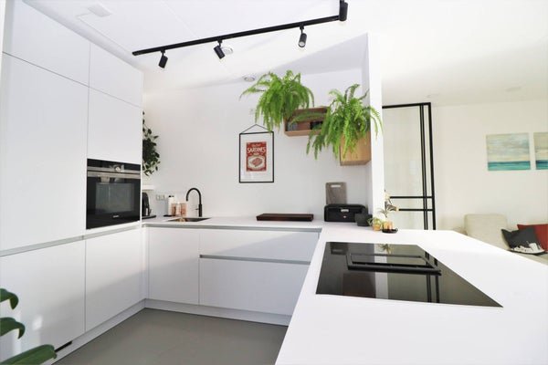 For rent: Flat De Monchyplein 14 in Rotterdam