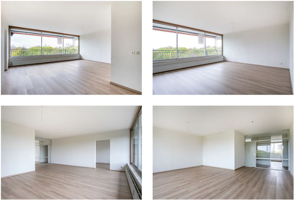 For rent: Flat Adama van Scheltemaplein in Delft