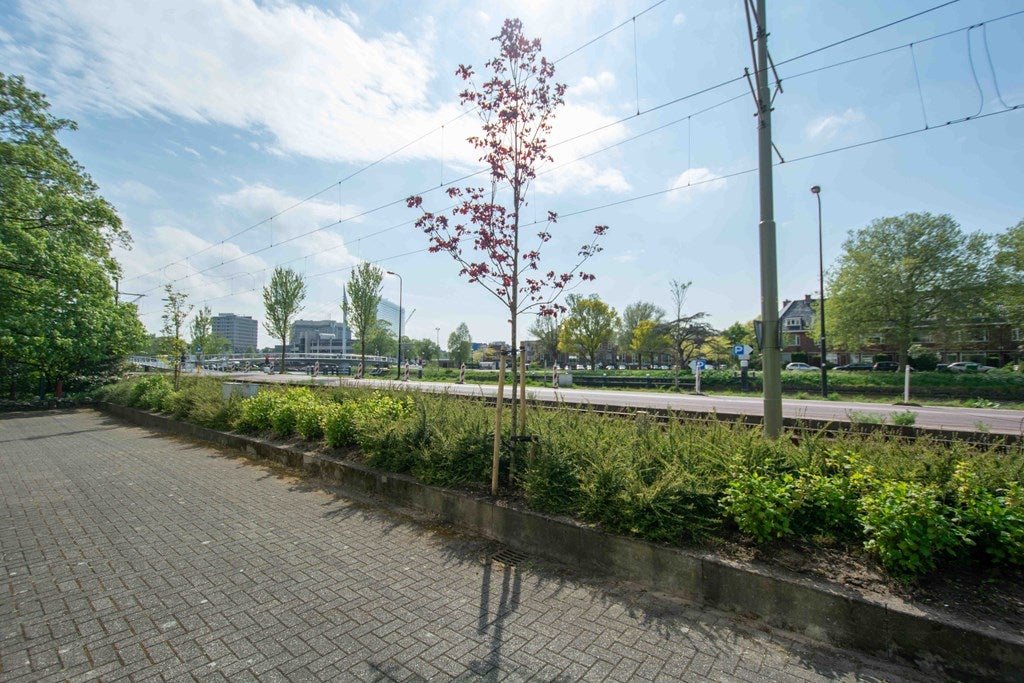 For rent: Flat Haagweg in Delft