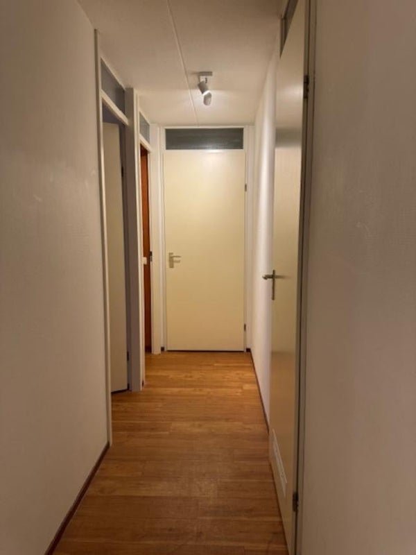 For rent: Flat Ruychaverstraat in Haarlem