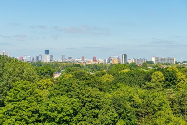For rent: Flat Loevesteinlaan 387 B in Den Haag