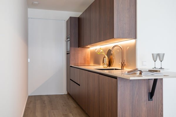 For rent: Flat Bagijnestraat 16 B in Den Haag