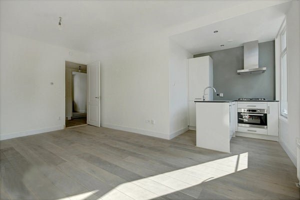 For rent: Flat Tweede Hugo de Grootstraat 42 3 in Amsterdam