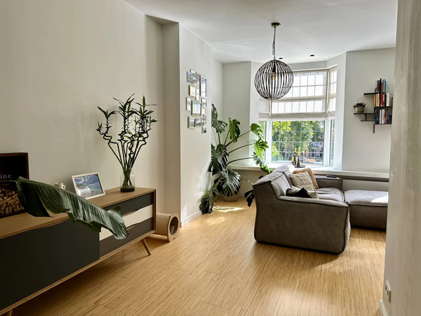 For rent: Flat Boergoensevliet 121 B in Rotterdam