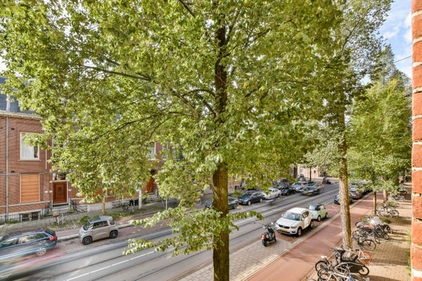 For rent: Flat De Lairessestraat 50 1 in Amsterdam
