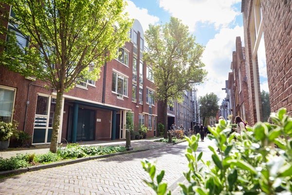 For rent: Flat Lange Margarethastraat 21 in Haarlem