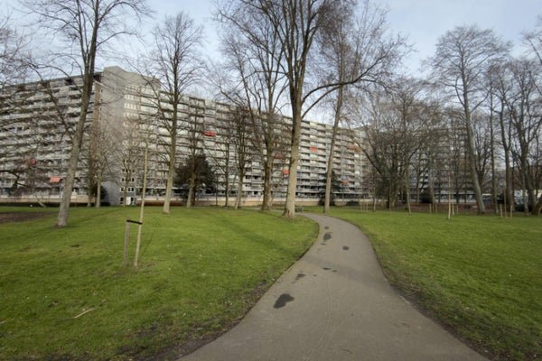 For rent: Flat Sibeliusplein 159 in Schiedam