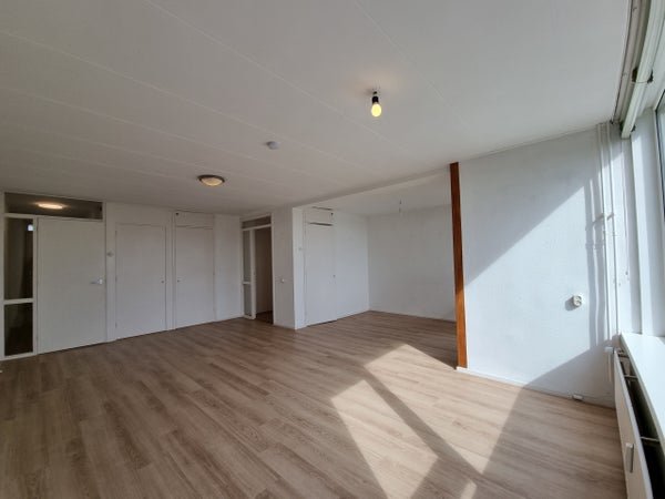 For rent: Flat Wilgenplaslaan in Rotterdam