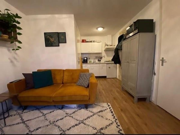 For rent: Flat Tweede Willemstraat in Groningen