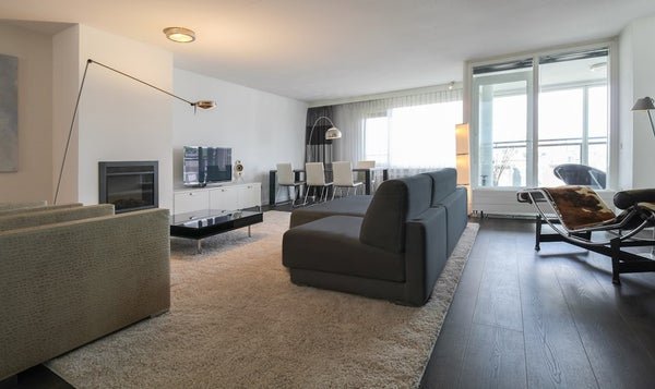 For rent: Flat Pieter de Hoochstraat 19 F in Amsterdam