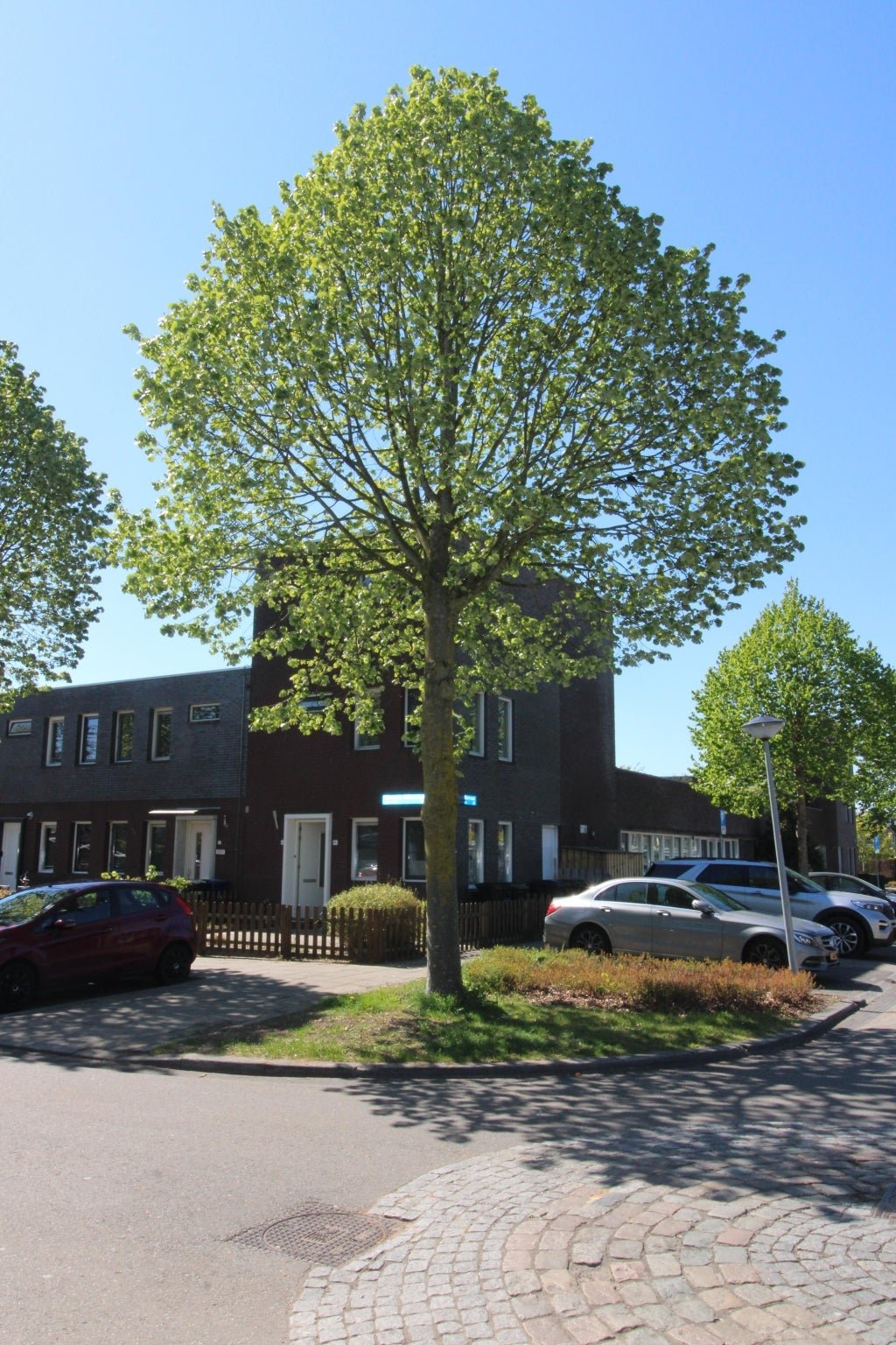For rent: House Albrecht Dürerweg in Almere