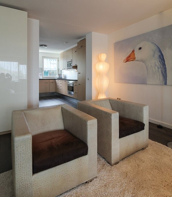 For rent: Flat Pieter de Hoochstraat 19 F in Amsterdam