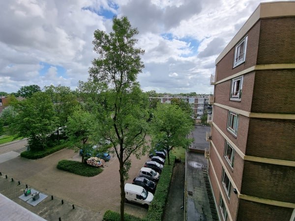 For rent: Flat Wilgenplaslaan in Rotterdam
