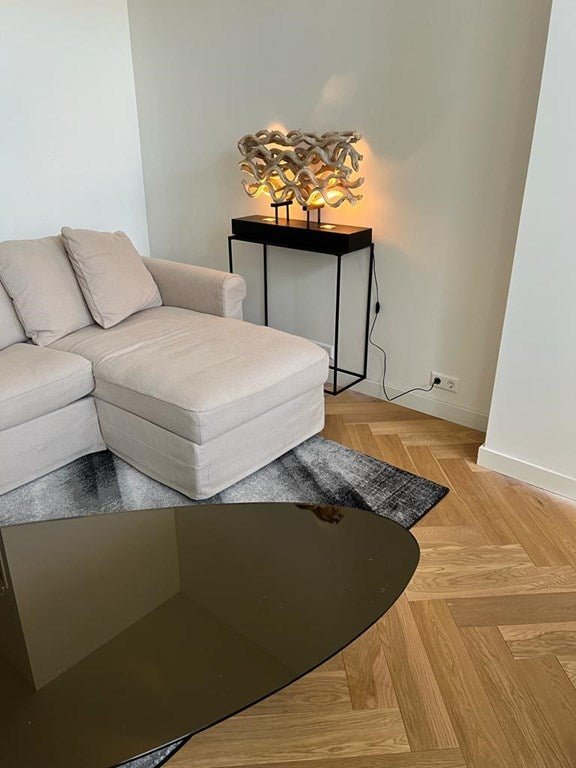 For rent: Flat Koningin Emmakade in Den Haag