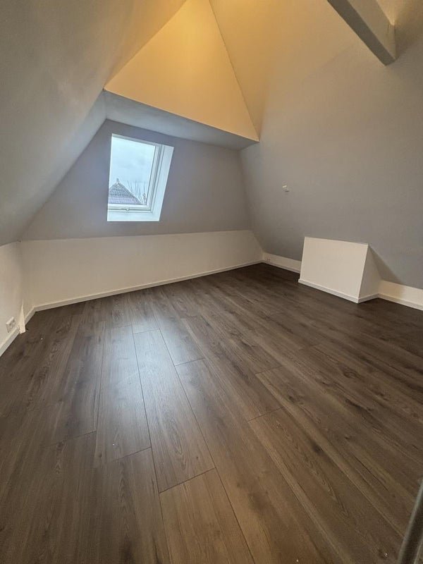 For rent: Flat Van Julsinghastraat in Groningen